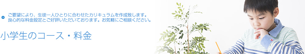 良心的な料金設定を心掛けています【小学生のコース・料金】