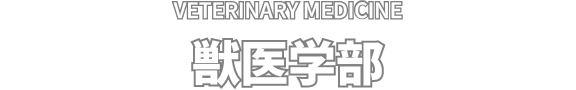 VETERINARY MEDICINE 獣医学部